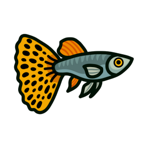Poisson